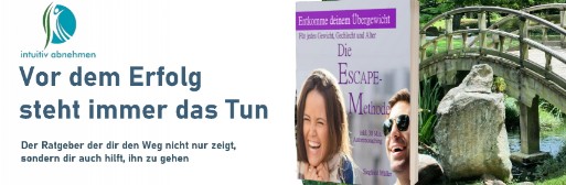Der Ratgeber von Intuitiv abnehmen